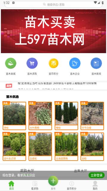 597苗木网2024最新版截图0