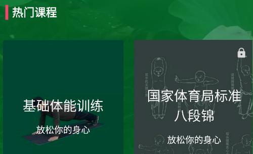 爱武艺专业版