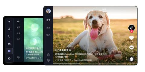 抖音app车载版