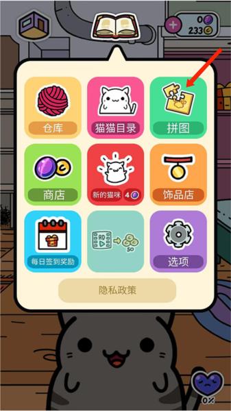 小偷猫6