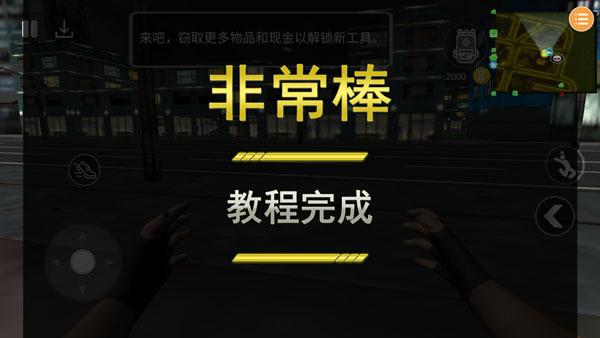 Thief Simulator27
