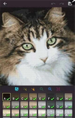 十字绣 安卓版v0.9.8截图3