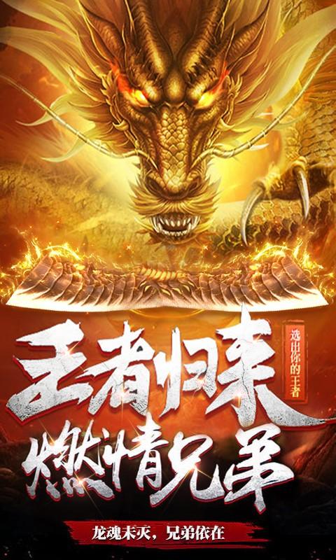 龙魂大陆满截图2