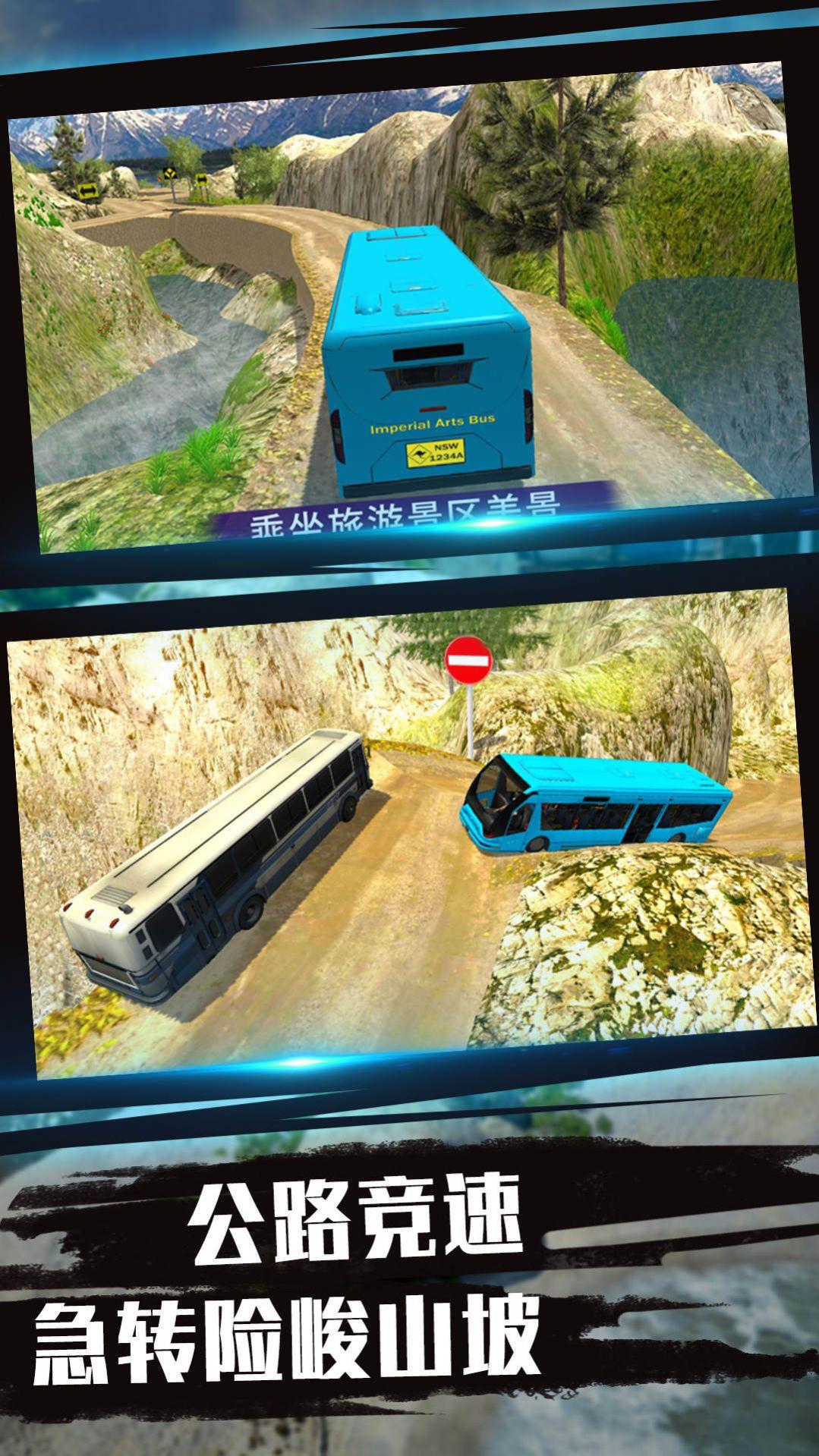 城市司机模拟截图1