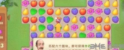 梦幻花园21