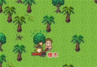 无人岛大冒险216