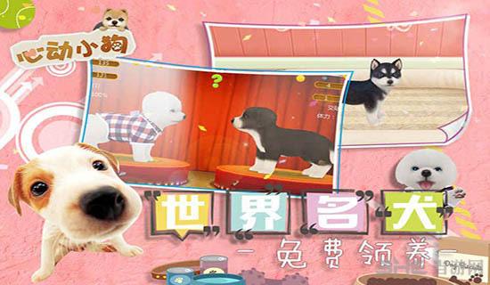 心动小狗 安卓版V2.21.0截图0