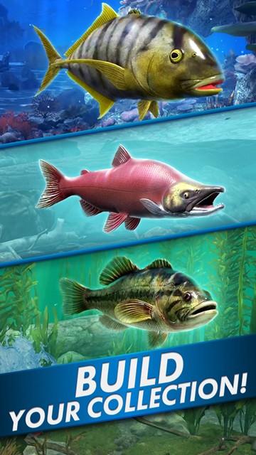 终极钓鱼Ultimate Fishing 安卓最新版v1.02.02截图3