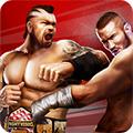 冠军格斗3D (Champion Fight 3D)安卓版v1.5