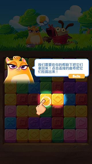 饼干猫爆炸图片5