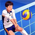 排球竞技场:全明星 安卓版v1.0.12