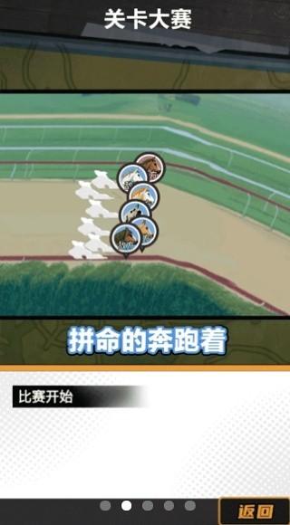 金牌驯马师1
