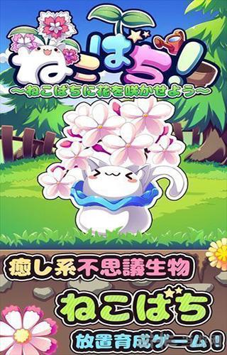 猫咪花盆 安卓版V1.2截图0