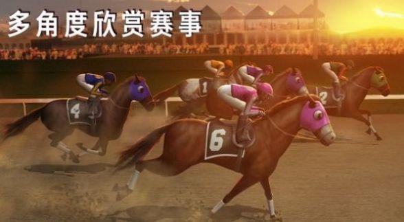模拟赛马竞赛 1.0截图2