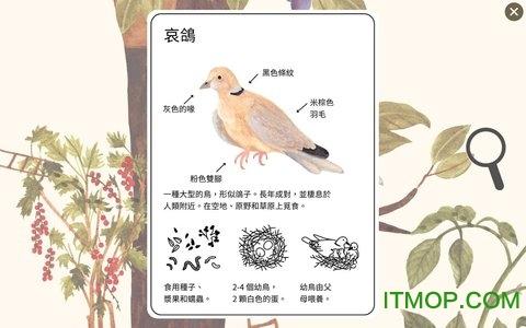 小棕鼠的自然生态百科截图1