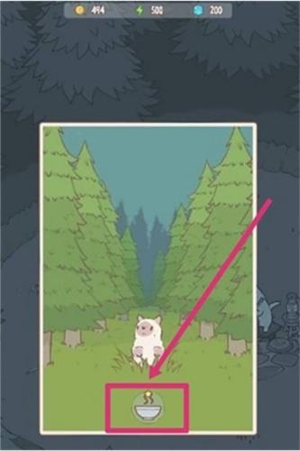 猫咪和汤图片3