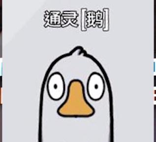 鸭鸭杀17