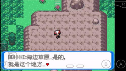 口袋妖怪圣灰版截图0