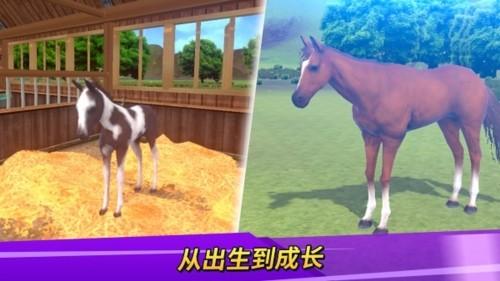 德比生活无限金币无限钻石版 最新版v1.8.99截图0