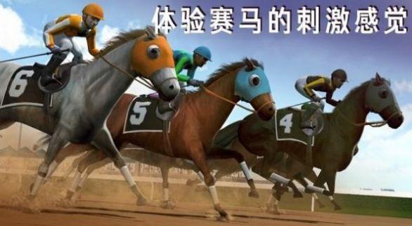 模拟赛马竞赛 1.0截图1