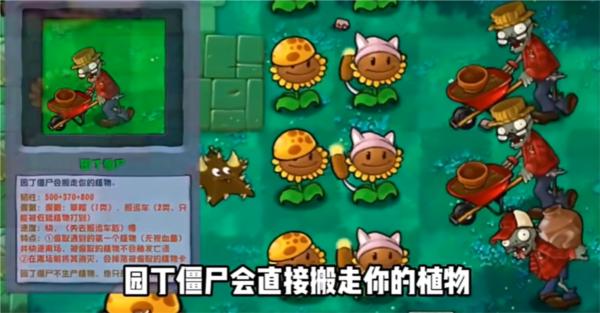 植物大战僵尸图片9