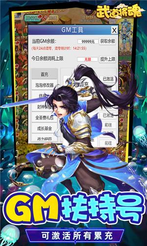 武道将魂截图2