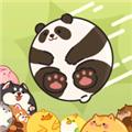合合星球红包版 安卓版v1.0.5