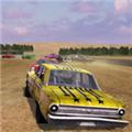 毁灭拉力赛车 安卓版v1.0.1