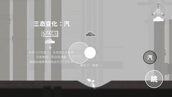 水相图片10