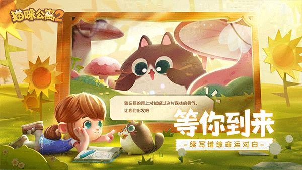 猫咪公寓21