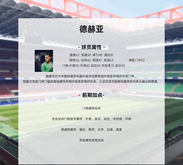 绿茵信仰7