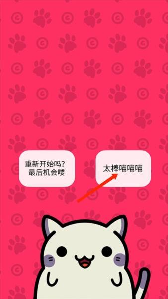 小偷猫图3