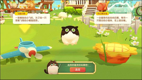 猫咪公寓211