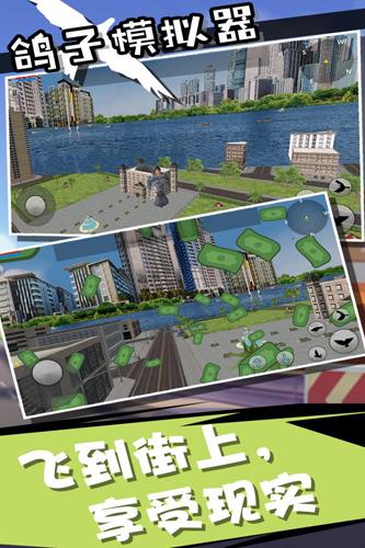 鸽子模拟器手机版 免费安卓版v1.0.0截图1