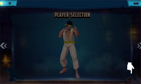 功夫大师1