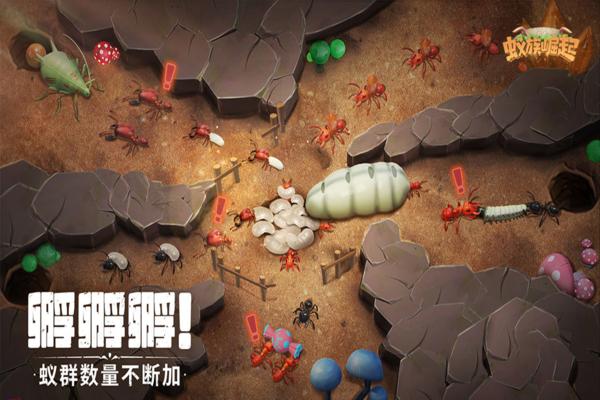 蚁族崛起图片1