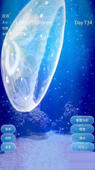 养育水母的治愈图片7