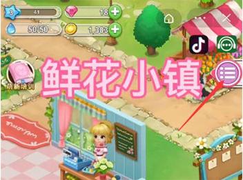 鲜花小镇图14
