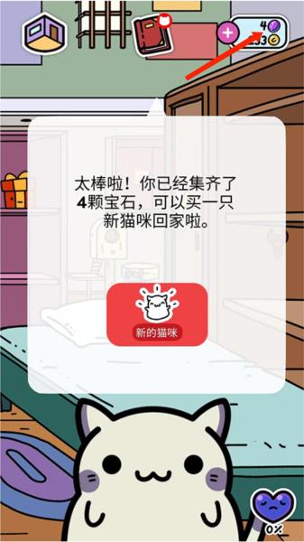 小偷猫10