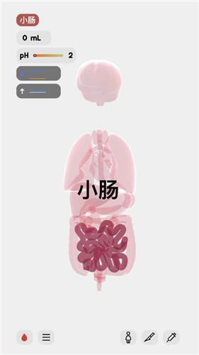 生命模拟器中文版截图0
