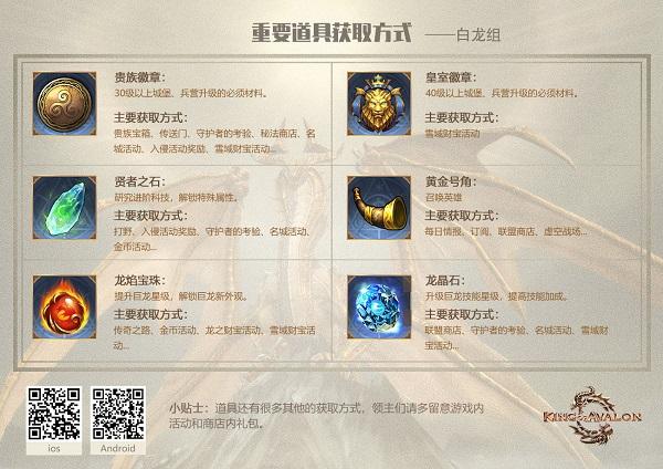 阿瓦隆之王龙之战役7