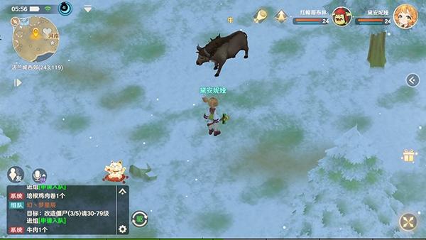 魔力宝贝旅人13