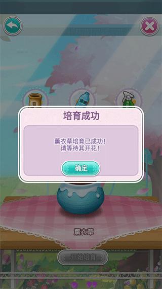 鲜花小镇图13