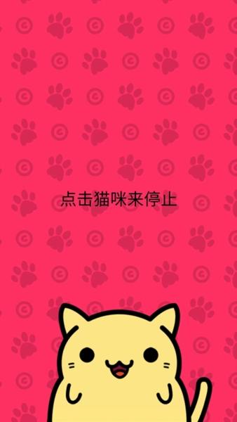 小偷猫图2