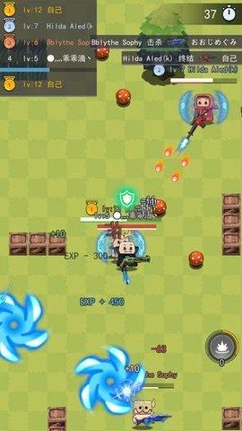 乱斗射手游戏截图0