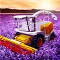 大农场移动丰收 最新版v10.65.34396