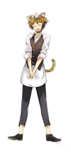 猫郎乐园5