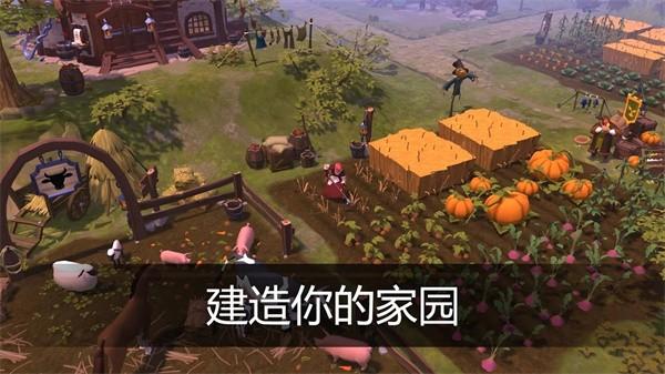阿尔比恩ol手游官方正版 (Albion Online)v1.25.040.280399截图0