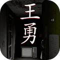 孙美琪(王勇游戏完整版)