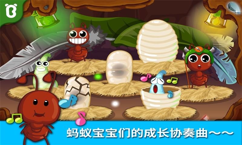 宝宝认蚂蚁手游安卓版截图2
